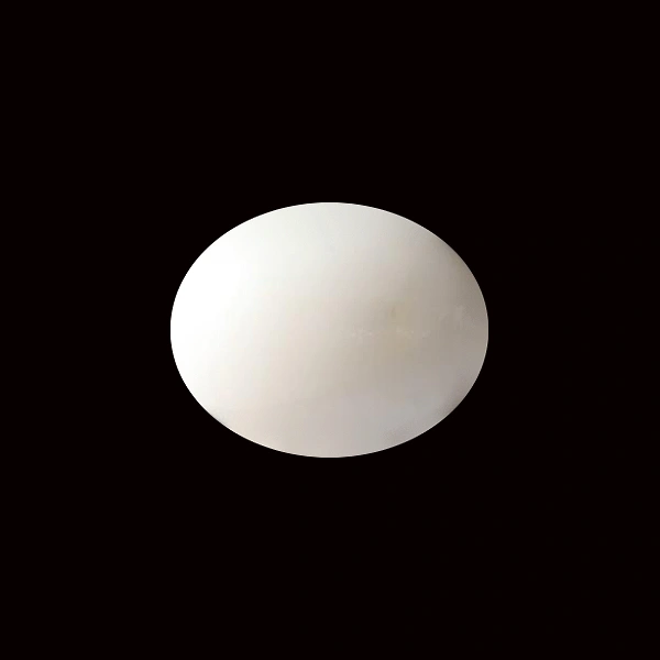 White Coral - 5.58 carats